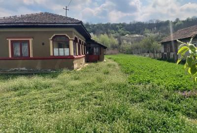 Teren de 3500 mp, în Izvoarele - 3