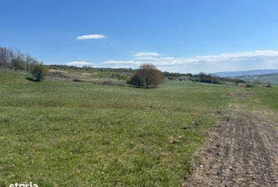 Teren de 1000 mp, în Iris