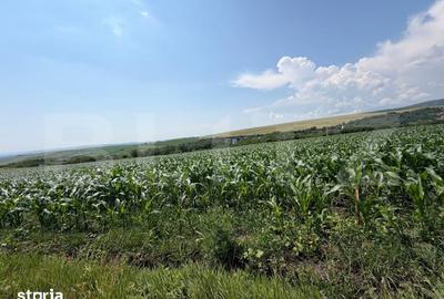 Teren de 1900 mp, în Săndulești - 4