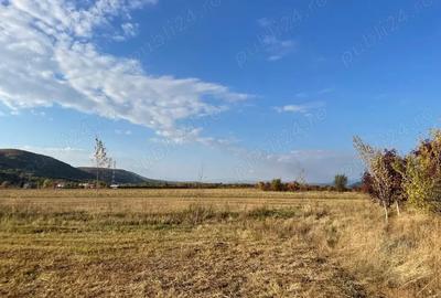 Teren de 3000 mp, în Măgureni - 3