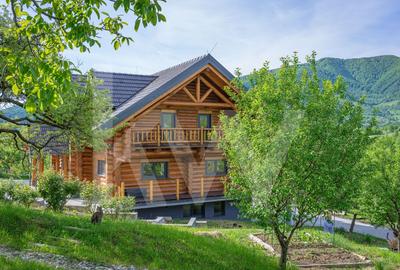 Casă individuală cu 6 camere cu Teren 5683 Mp în Sadu - 54