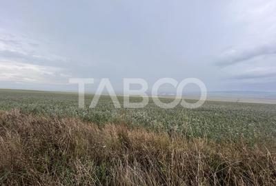 Teren agricol extravilan de 30000 mp, în Șura Mică - 4