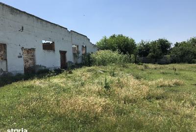 Teren de 8160 mp, în Rădoiești - 3