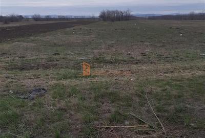 Teren Construcții intravilan de 5000 mp, în Vadu Pașii - 4