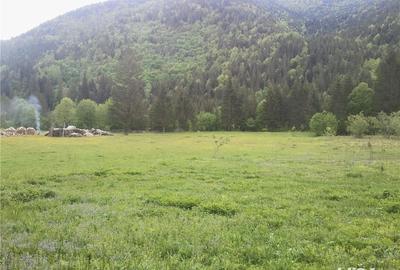 Teren de 5000 mp, în Brateș - 1