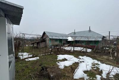 Casă cu Teren 2400 Mp în Toporu - 8