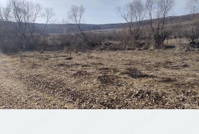 Teren de 1400 mp, în Sânmărtin