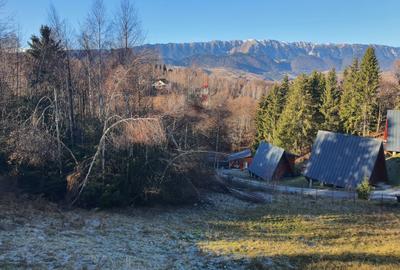Teren Construcții intravilan de 6000 mp, în Bran - 1