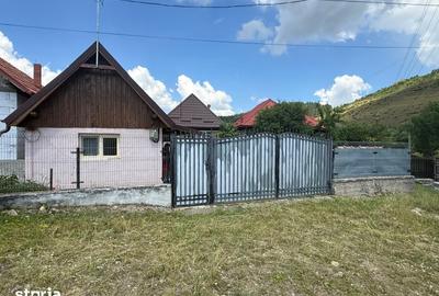 Casă cu 2 camere cu Teren 2600 Mp în Poieni - 10