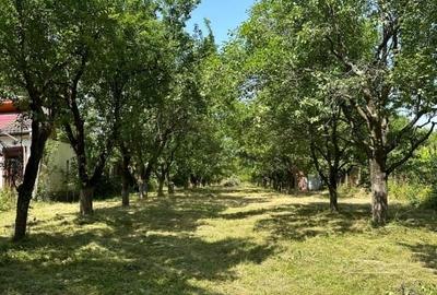 Teren intravilan de 1915 mp, în Sadu - 5