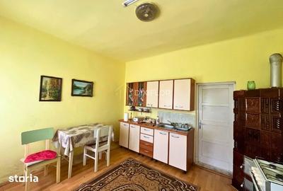 Casă cu 4 camere cu Teren 2349 Mp în Criș - 9