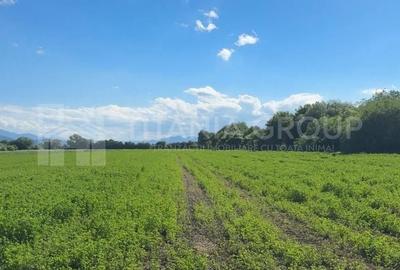 Teren Construcții intravilan de 33737 mp, în Stupini - 10