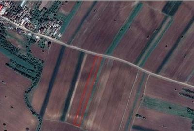 Teren de 12000 mp, în Finta - 2