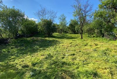 Teren de 2675 mp, în Podgoria - 2