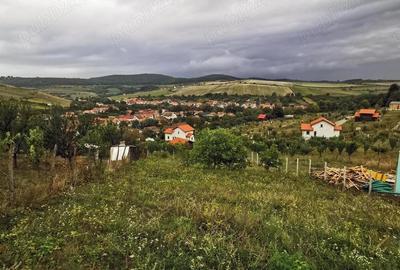 Teren de 662 mp, în Hamba - 4