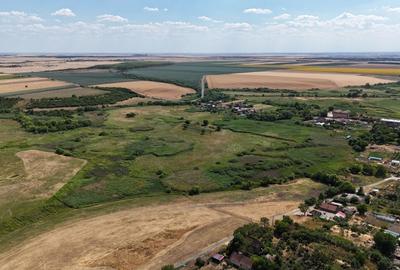 Teren Construcții intravilan de 90000 mp, în Bărăteaz - 19