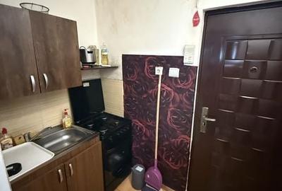 Garsonieră în Buziașului - 3
