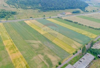 Teren agricol intravilan de 8600 mp, în Periferie - 4