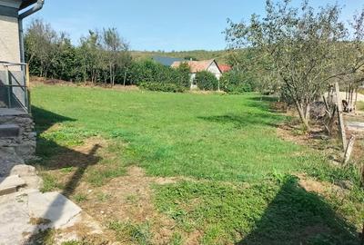 Casă cu 2 camere cu Teren 1300 Mp în Central - 3
