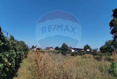 Casă individuală cu 4 camere cu Teren 3370 Mp în Central - 14