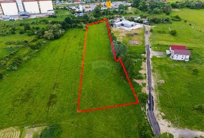 Teren Construcții intravilan de 9810 mp, în Bascov - 7