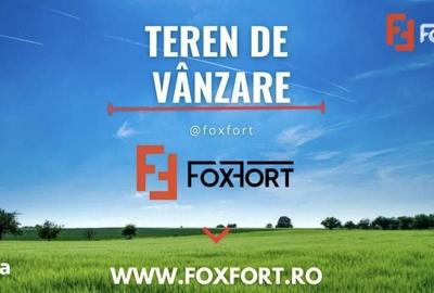 Teren de 500000 mp, în Zăbrani