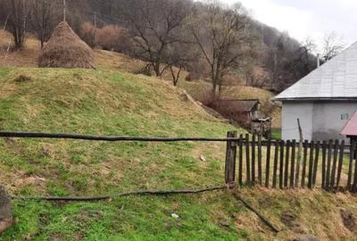 Teren în Băiuț - 6