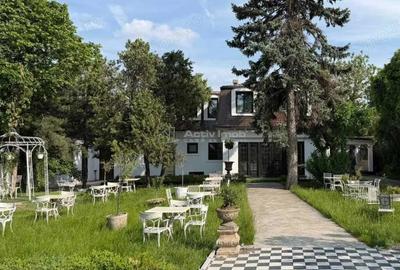 Casă cu 32 camere cu Teren 2450 Mp în Dămăroaia - 3
