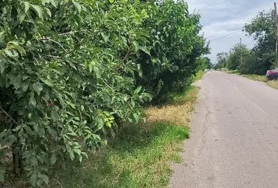 Casă cu 4 camere în Izvoarele - 1