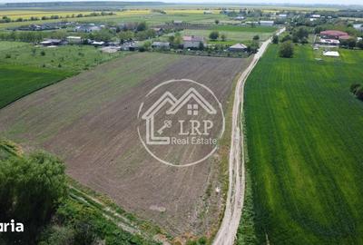 Teren de 10400 mp, în Dascălu