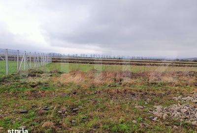 Teren de 9500 mp, în Central - 5
