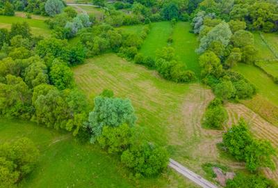 Teren agricol extravilan de 3411 mp, în Șinca Nouă - 1