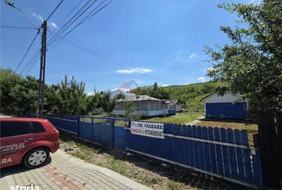 Teren de 4800 mp, în Tomești - 7