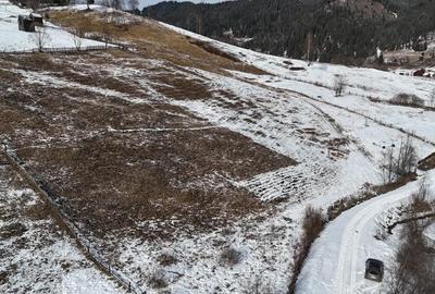 Teren de 12066 mp, în Breaza - 9