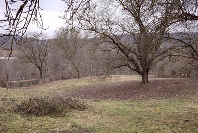 Teren Construcții intravilan de 1782 mp, în Măgura (Bezdead) - 12