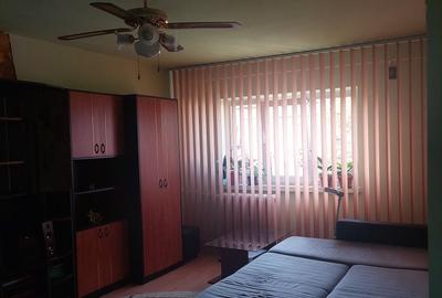 Apartament cu 2 camere decomandat în Brazda lui Novac