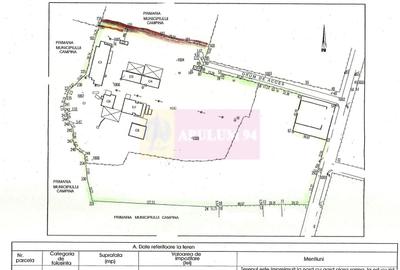 Teren Construcții intravilan de 40679 mp, în Nord-Est - 8