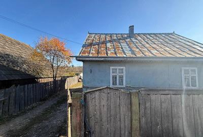 Casă cu Teren 3400 Mp în Arbore