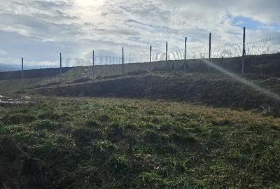 Teren de 6200 mp, în Bodrog - 5