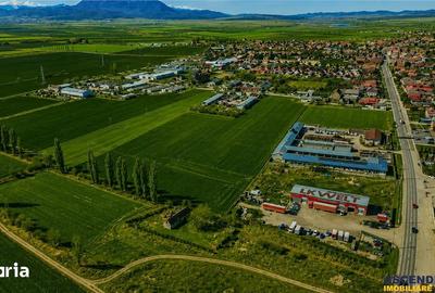 Teren de 10000 mp, în Hălchiu