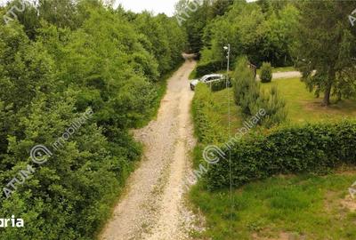 Teren de 3000 mp, în Porumbacu de Jos - 5