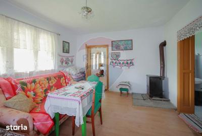 Casă cu 5 camere cu Teren 55706 Mp în Șinteu - 6