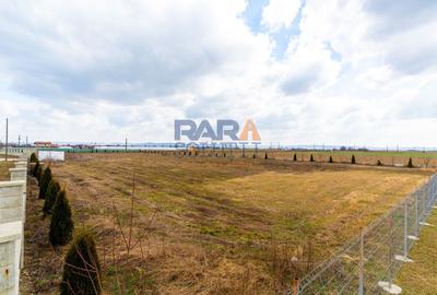 Teren Construcții intravilan de 7092 mp, în Horia - 5