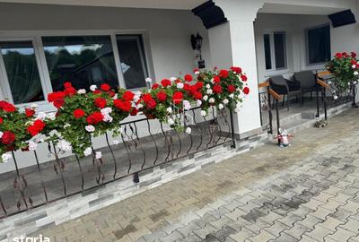 Casă cu 4 camere cu Teren 1734 Mp în Vânători - 14