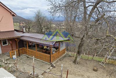 Casă cu 3 camere cu Teren 3996 Mp în Ghelari - 2