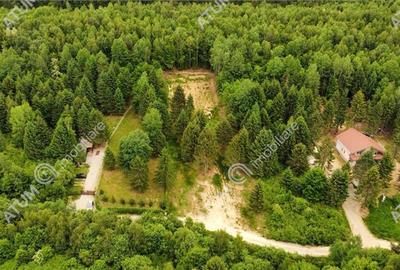 Teren intravilan de 3000 mp, în Porumbacu de Sus - 11