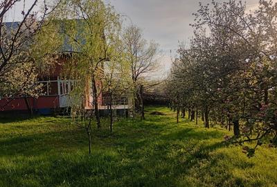 Casă individuală cu 3 camere cu Teren 2000 Mp în Bârnova