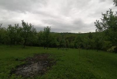 Teren de 4650 mp, în Lunca Mare - 1