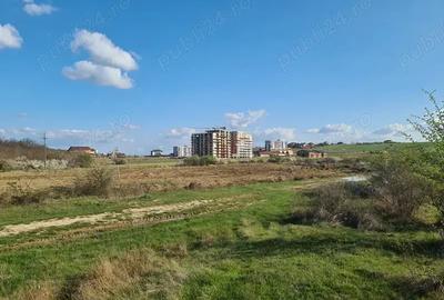 Teren de 1629 mp, în Băile Felix - 10