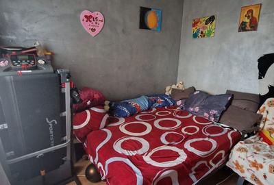 Garsonieră în Valea Borcutului - 4